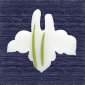 ��������ɹ��10����