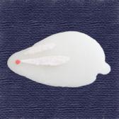 ����������ɹ��10����