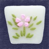 �����⥹����ɹ��10����