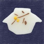 ������ɹ��10����