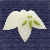 ������ɹ��10����