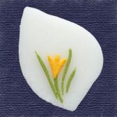 ��󤾤�����ɹ��10����