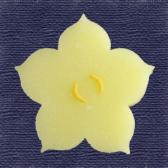 ��������ʲ���ɹ��10����