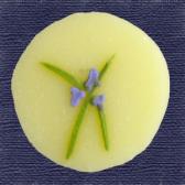 �Ĥ���ʲ���ɹ��10����