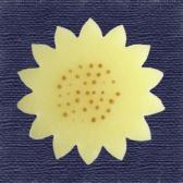 �Ҥޤ��ʲ���ɹ��10����