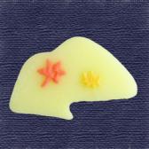 ���աʲ���ɹ��10����