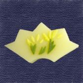 ʡ����ʲ���ɹ��10����