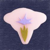 �����������ִ�ɹ��10����