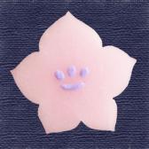 �����祦���ִ�ɹ��10����