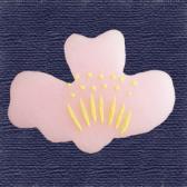 �����󤫡��ִ�ɹ��10����