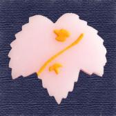 �Ĥ����ִ�ɹ��10����