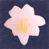 �ĤĤ����ִ�ɹ��10����