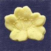 �����󤫣����Ǥ�ʪ��10����