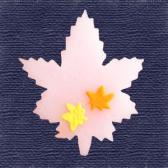 ��ߤ����ִ�ɹ��10����