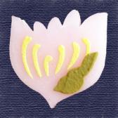 �ơ��ִ�ɹ��10����