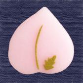 �����ִ�ɹ��10����