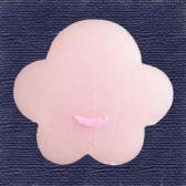 �ߡ��ִ�ɹ��10����