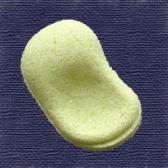 ����Ʀ���Ǥ�ʪ��10����