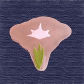 �����������ֶӶ̡�10����