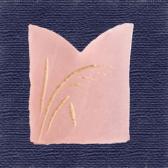 ���������ֶӶ̡�10����