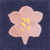 �ĤĤ����ֶӶ̡�10����