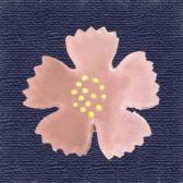 �ʤǤ������ֶӶ̡�10����