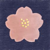 �����ֶӶ̡�10����