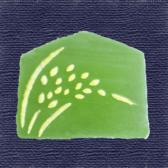 ���ʥۡ��ĶӶ̡�10����