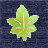 �����ǡ��ĶӶ̡�10����