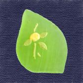 �椺���ĶӶ̡�10����