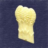 �Ĥ������Ǥ�ʪ��10����