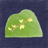 ��󤮤���ĶӶ̡�10����