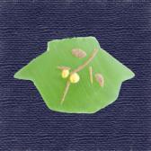 �����ĶӶ̡�10����