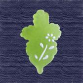 �ơ��ĶӶ̡�10����