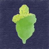 �Ƥ��ա��ĶӶ̡�10����