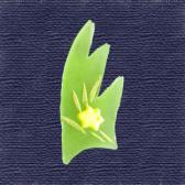 ������ĶӶ̡�10����