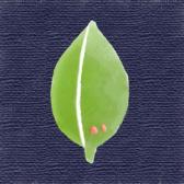 ��ξ���ĶӶ̡�10����