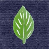 �ա��ĶӶ̡�10����