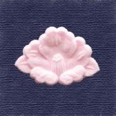 �ĤФ����Ǥ�ʪ��10����