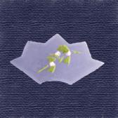 ���λޡʻ�Ӷ̡�10����