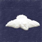 �Ĥ���Ǥ�ʪ��10����