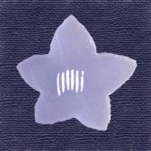 Ŵ��ʻ�Ӷ̡�10����