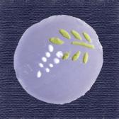 ƣ���ʻ�Ӷ̡�10����