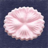 �ʤǤ������Ǥ�ʪ��10����