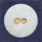 �ơ����ߡ�10����