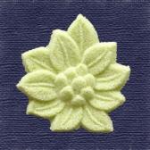 �դ��ΤȤ����Ǥ�ʪ��10����