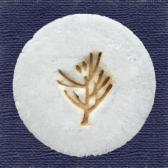 ���������ߡ�10����