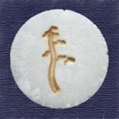 ���������ߡ�10����