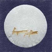 Ȭ�Ķ������ߡ�10����