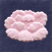 �ܤ�����Ǥ�ʪ��10����